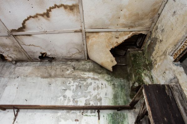 Water Damage Service in Lincoln
