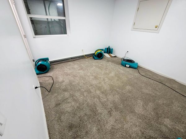 Flood Restoration Service in Lincoln