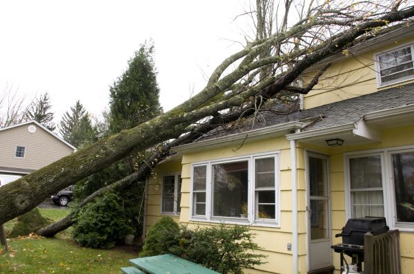 Hurricane Damage Repair in Lincoln